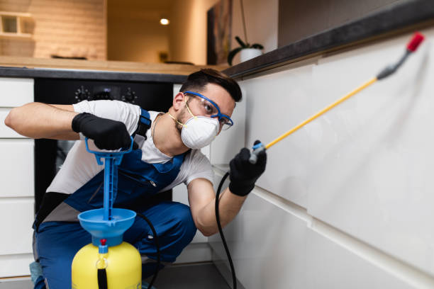 Best Affordable Pest Control Services  in Mount Morris, IL