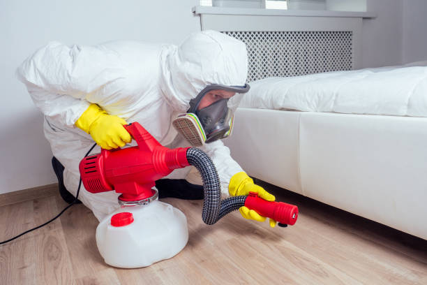 Best Spider Control Near Me  in Mount Morris, IL