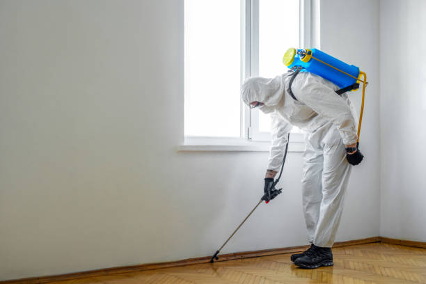 Trusted Mount Morris, IL Pest Control Experts