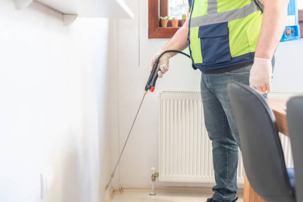 Wasp Removal Services in Mount Morris, IL