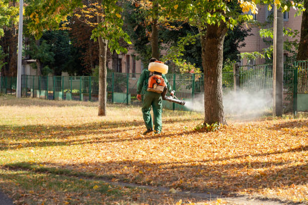 Best Commercial Pest Control Services  in Mount Morris, IL