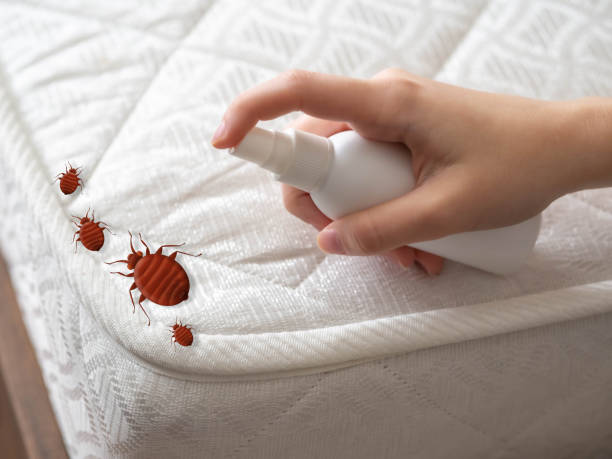 Best Bed Bug Extermination  in Mount Morris, IL