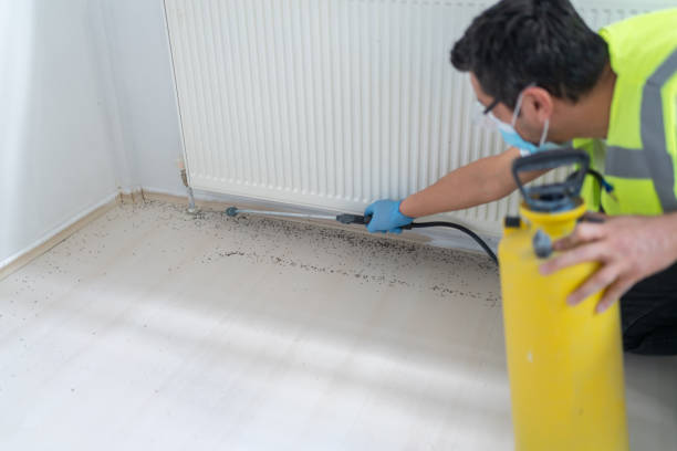 Pest Control for Restaurants in Mount Morris, IL