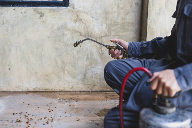 Best Wasp Removal Services  in Mount Morris, IL
